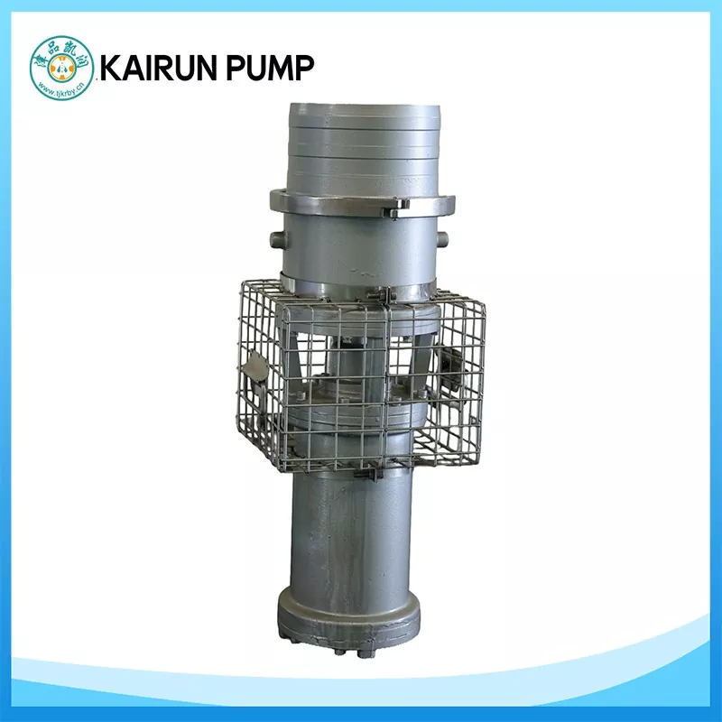 Permanent magnet dyk aksial flow pumpe